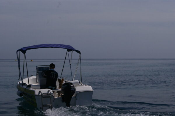 DIPOL 400 → 6.350€ + IVA - Imagen 2
